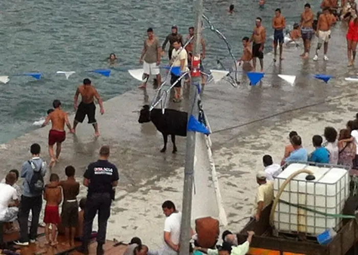 Oceanfront - Casa Santo Antonio Apartment *