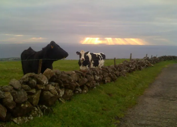 Oceanfront - Casa Santo Antonio * Sao Mateus (Terceira)