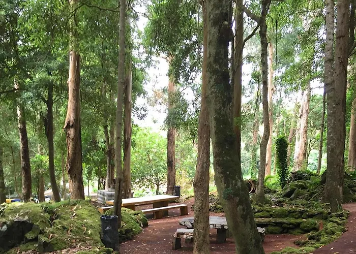 Apartment Oceanfront - Casa Santo Antonio Sao Mateus (Terceira)